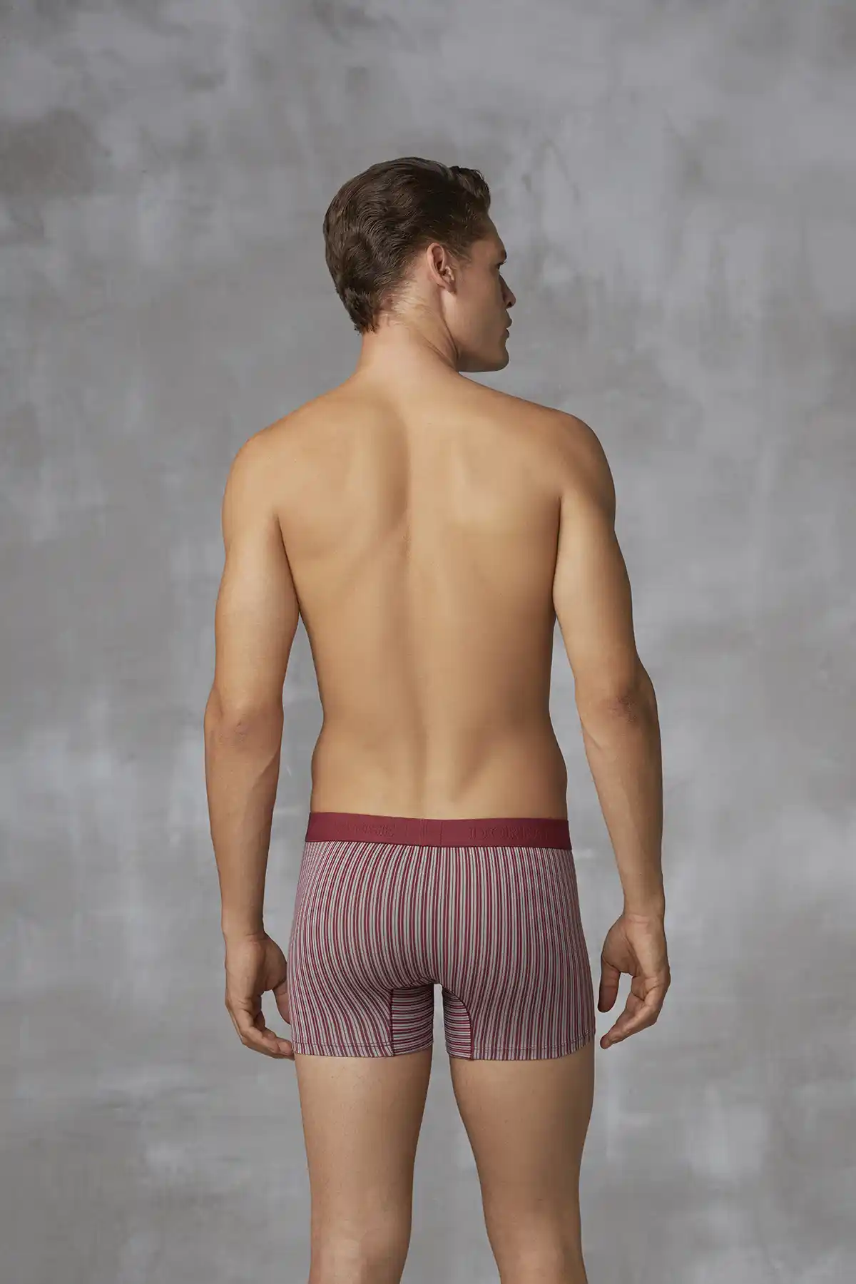 Erkek Bordo Beyaz Dikey Çizgili Lastikli Bel Kısa Paça Boxer