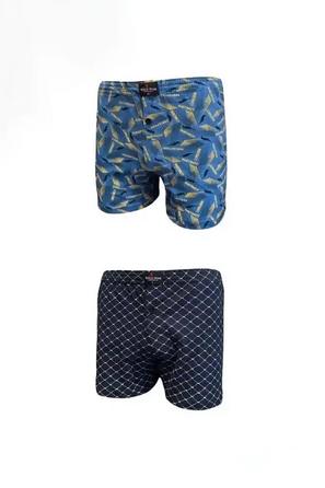 2 li Mavi Desenli Pamuklu Erkek Boxer