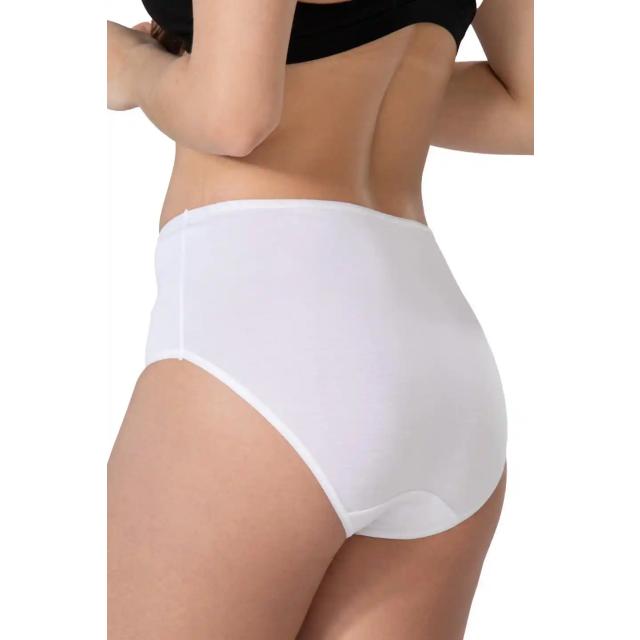 Beyaz Modal Cotton Yüksek Bel Dantelli Külot