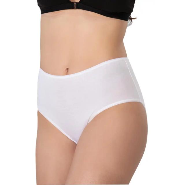 Beyaz Modal Cotton Yüksek Bel Külot