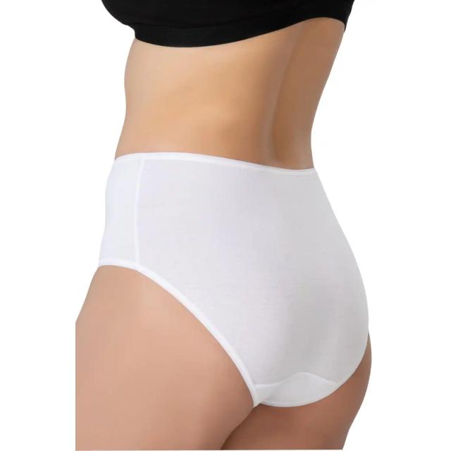 Beyaz Modal Cotton Yüksek Bel Külot