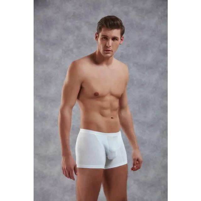 Erkek Beyaz Modal Torbalı İnce Bel Bantlı Normal Paça Boxer Erkek Beyaz Modal Torbalı İnce Bel Bantlı Normal Paça Boxer