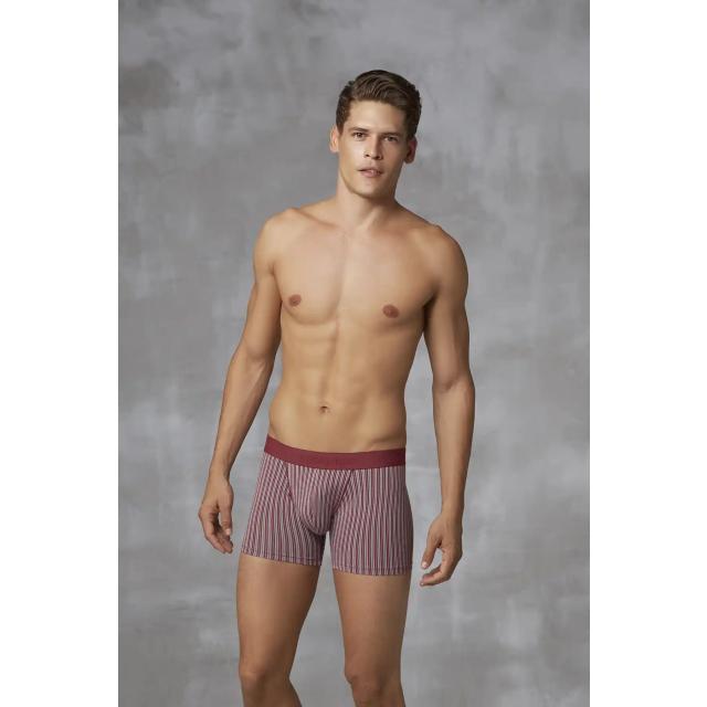 Erkek Bordo Beyaz Dikey Çizgili Lastikli Bel Kısa Paça Boxer Erkek Bordo Beyaz Dikey Çizgili Lastikli Bel Kısa Paça Boxer