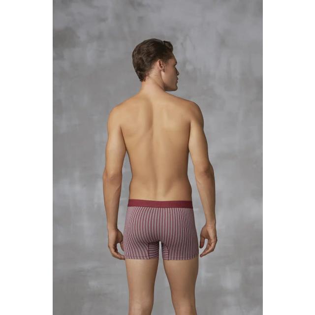 Erkek Bordo Beyaz Dikey Çizgili Lastikli Bel Kısa Paça Boxer