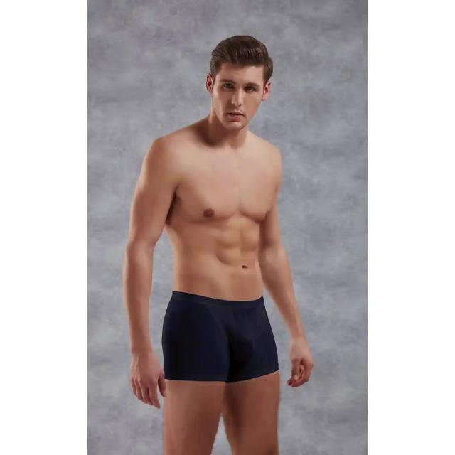 Erkek Lacivert Modal Torbalı İnce Bel Bantlı Normal Paça Boxer Erkek Lacivert Modal Torbalı İnce Bel Bantlı Normal Paça Boxer