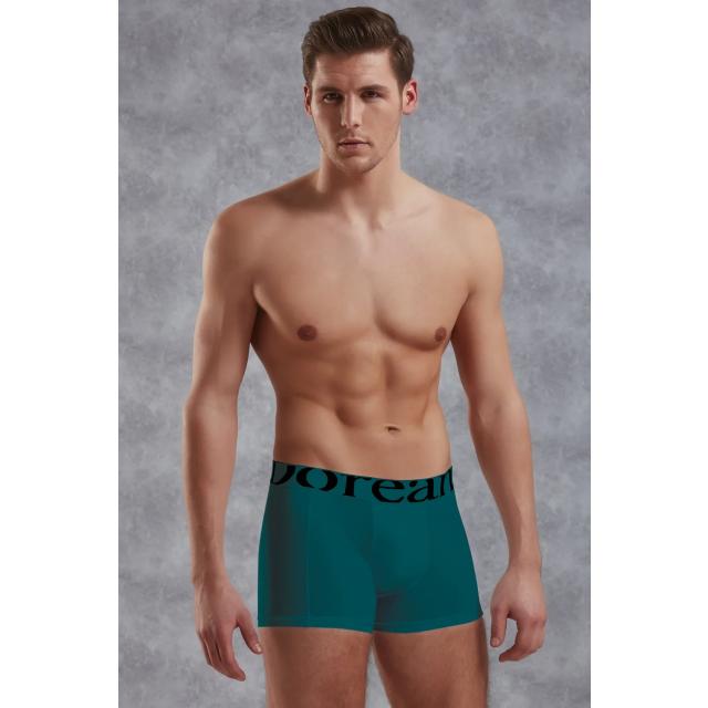 Erkek Modal Pamuklu Turkuaz Lastik Bel Likralı Kısa Boxer Erkek Modal Pamuklu Turkuaz Lastik Bel Likralı Kısa Boxer