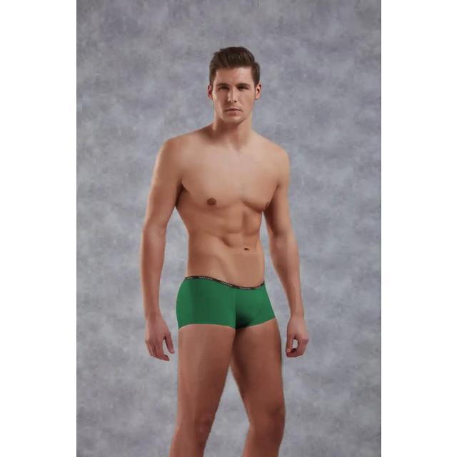 Erkek Yeşil Polyamid Mini Paça Boxer Erkek Yeşil Polyamid Mini Paça Boxer