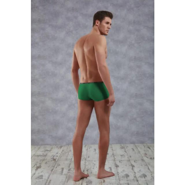 Erkek Yeşil Polyamid Mini Paça Boxer   