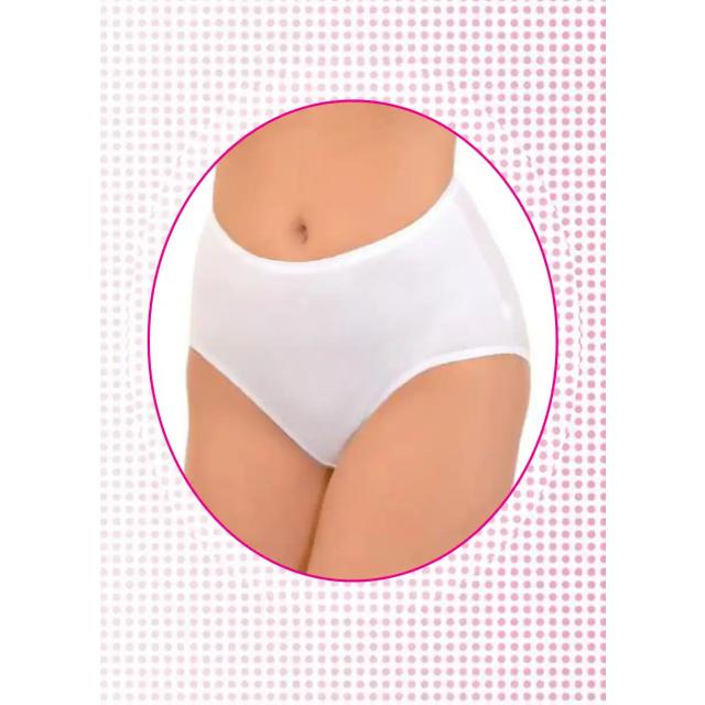 Kadın Beyaz Modal Yüksek Bel Slip Külot
