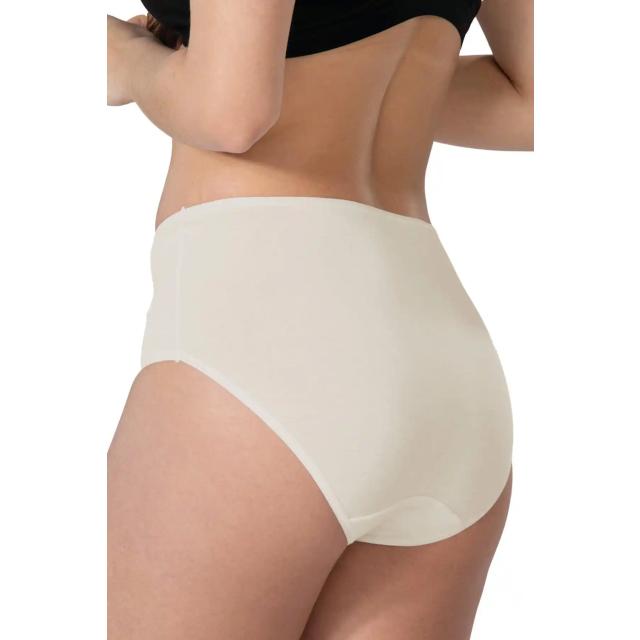 Ten Rengi Modal Cotton Yüksek Bel Dantelli Külot